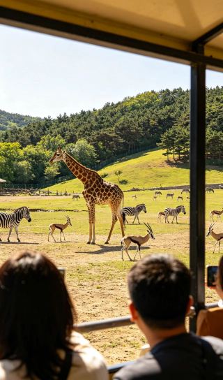 大連森林動物園