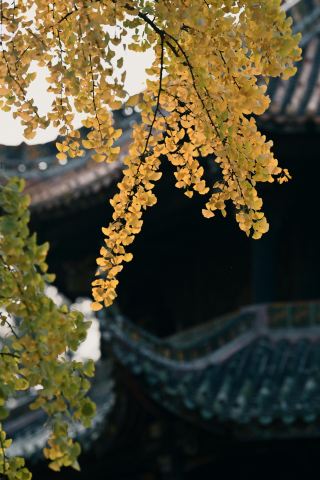 직접 이용해본 결과, 이 무료 서비스 때문에 나는 과감히 이 호텔을 선택했습니다