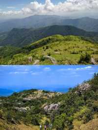 國慶遛娃寶藏地!羅定八排山免費高山草甸,帶娃徒步太治癒了!