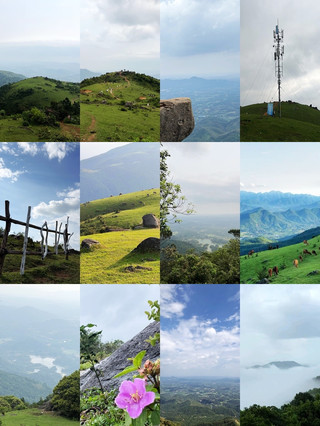 ไม่ต้องไปเบียดที่อู๋กงซานแล้ว! ทุ่งหญ้าบนยอดเขาสุดปัง ห่างจากหนานหนิงแค่ 2 ชม. เอง~ 🌿