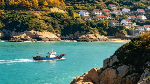 If you know, you know! Autumn in Shengsi is the ultimate island getaway — traveler post in Shengsi