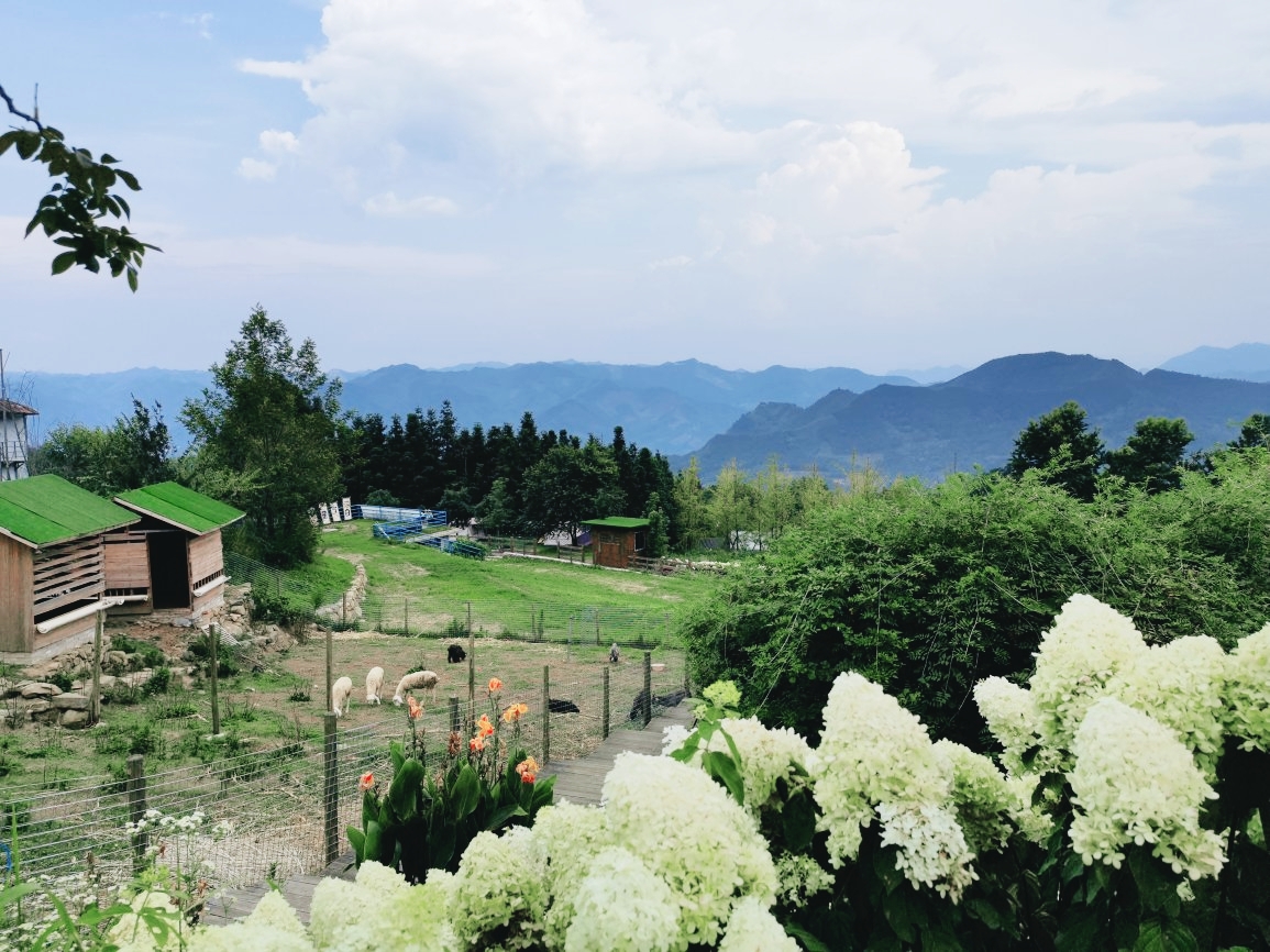 Wanzhongshan Mountain in Guizhou | A hidden gem, its magnificent mountain and sea scenery rivals that of Wanfenglin.