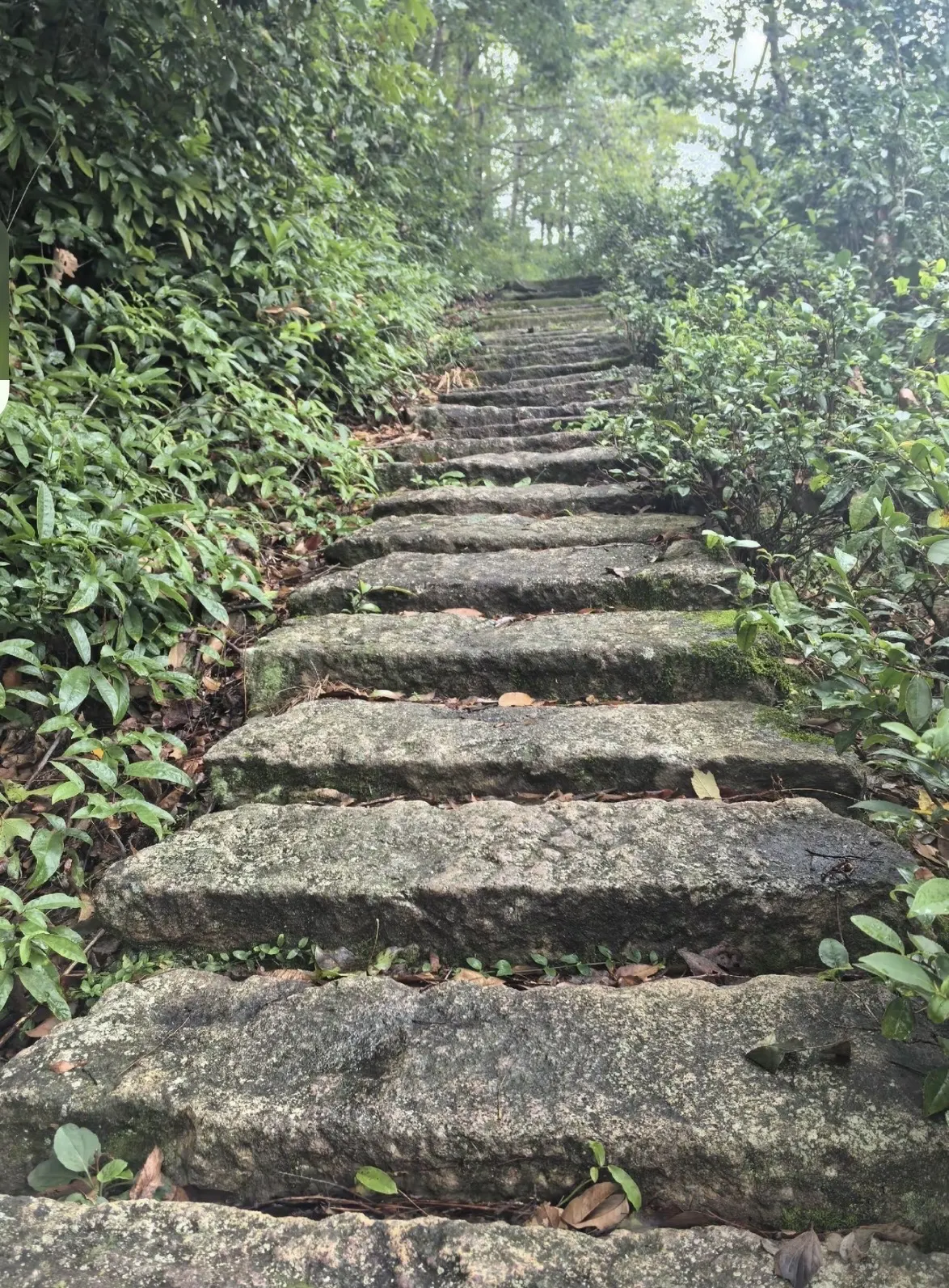國慶江浙滬3天2晚徒步攻略｜浦江仙華山愛心環線軌跡藏著一顆山野愛心  路線乾貨｜避坑指南｜省錢技