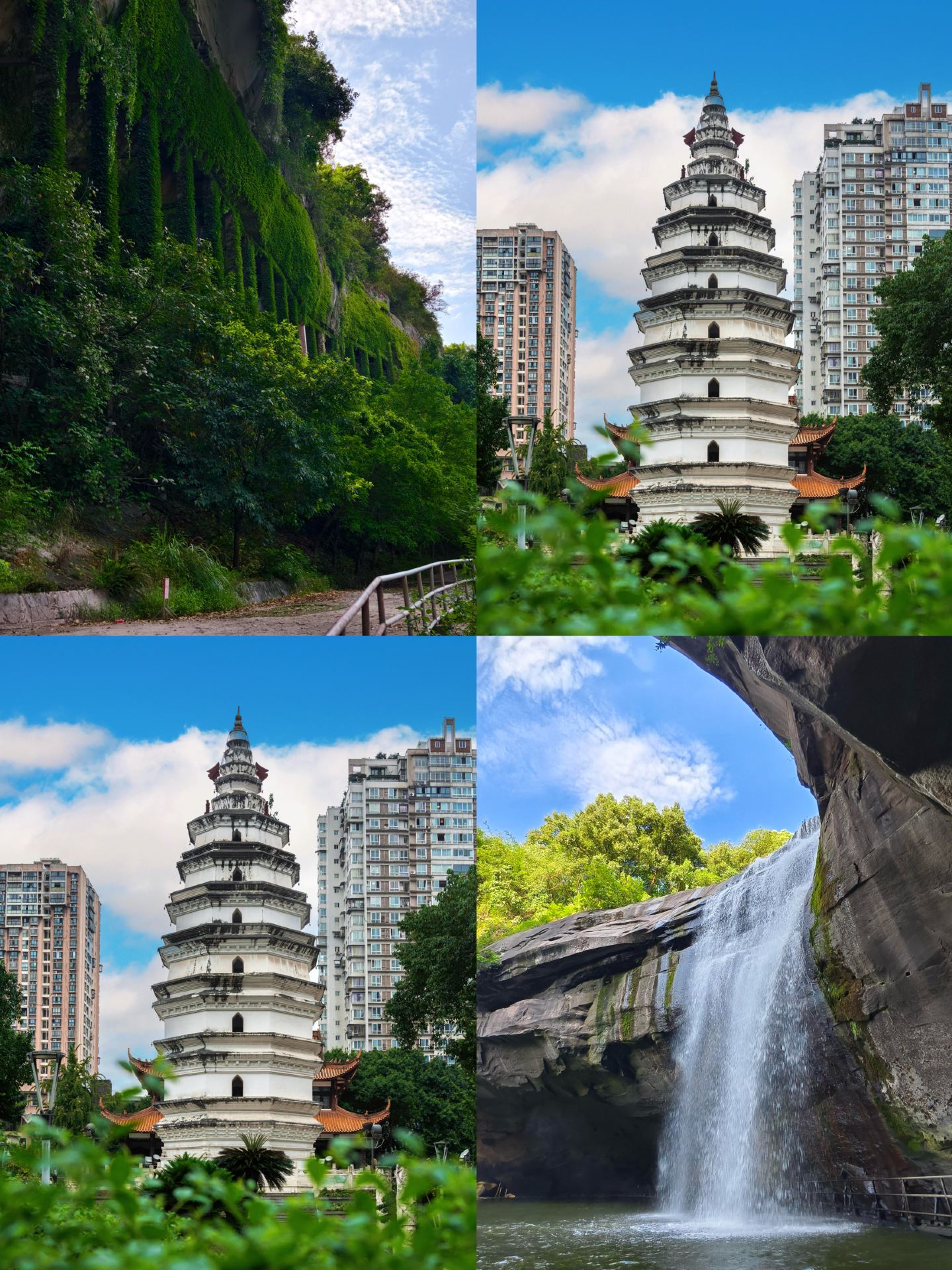 Just got back from Luzhou, and I really wouldn't recommend going in September–October because it's just... 