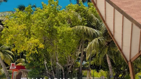 강력 추천하는 해변가 숙소 — traveler post in Thinadhoo