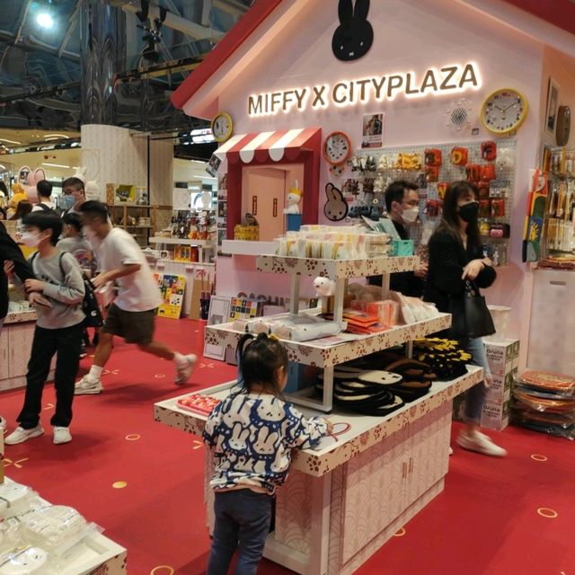 miffy 迷必去打咭
