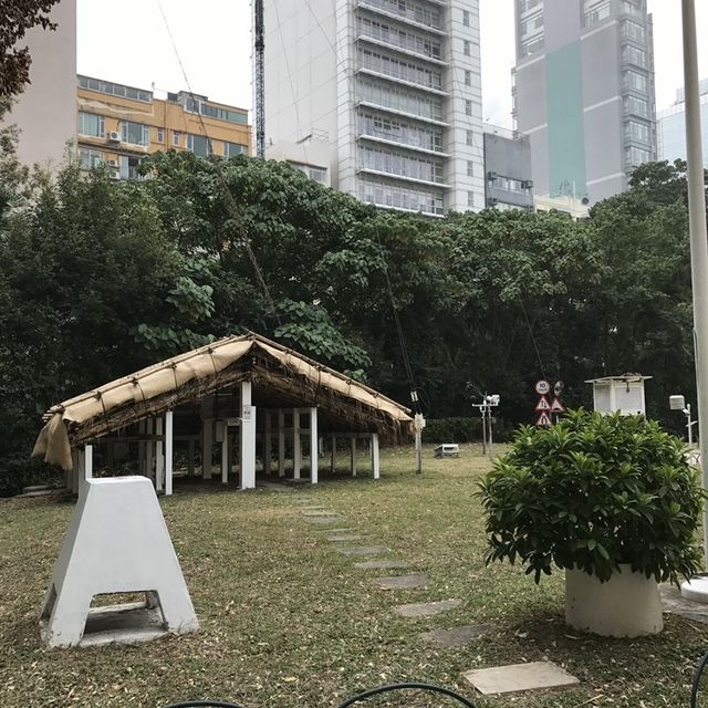 認識科學和歷史 認識科學和歷史