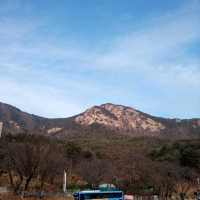 계룡산 동학사 상점가 수통골입구 팬션투어