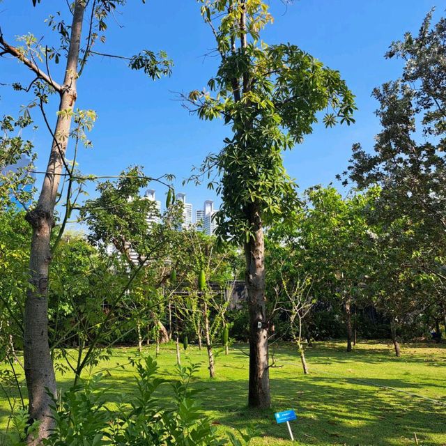 สวนเบญจกิติ ไปอย่างไร ตามมาคร้า