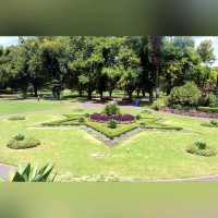 動靜皆宜Alexandra Garden 