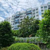 Nature Park Easily Accessible From Shopping Mall