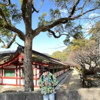 ศาลเจ้า Tenmangu ที่ Dazaifu 🙏