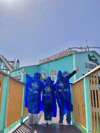 스릴 넘치는 놀이기구만 잔뜩 모아둔 ‘경주월드’🎢💦