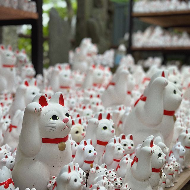 Exploring the Lucky Cat Temple: A Journey Through Tokyo's Maneki-Neko Wonderland Exploring the Lucky Cat Temple: A Journey Through Tokyo's Maneki-Neko Wonderland