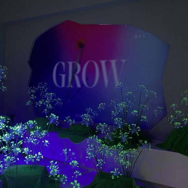 You’re Invited to Gr(l)ow Exhibition💐✨
