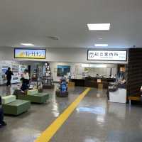 「奄美レンタカー」奄美空港で借りるならおすすめです