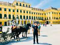 維也納的美泉宮Schoenbrunn Palace 
