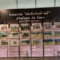 Pattani TK Park