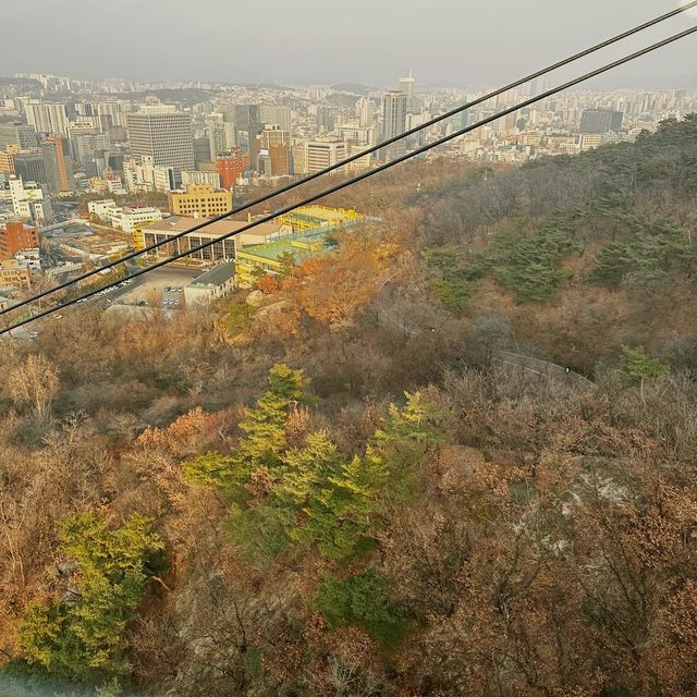 Snow fall in Korea!