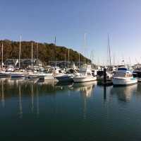 Fine and white sandy beaches in Shoal Bay 