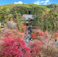 【南禅寺の紅葉🍁‼️】