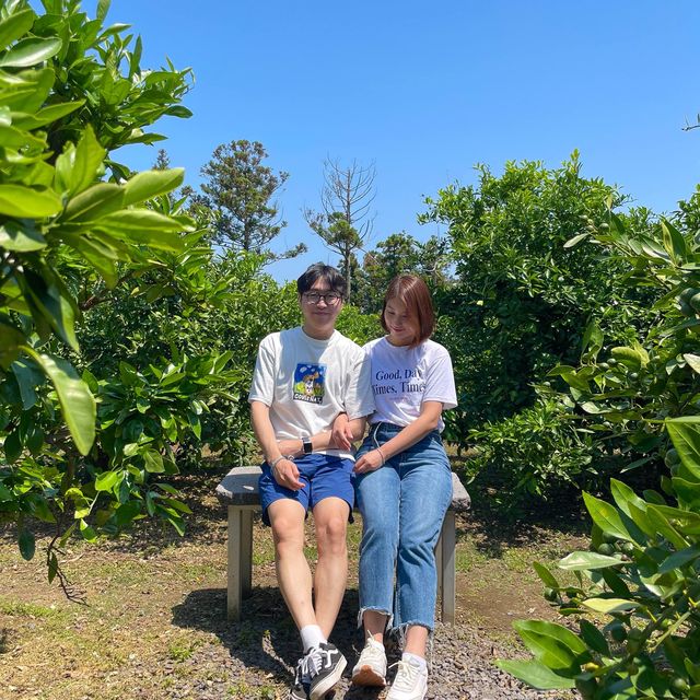 제주도 귤밭을 품은 그리스감성카페 덴드리💙