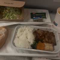 【フィンランド上空】飛行機からのオーロラ