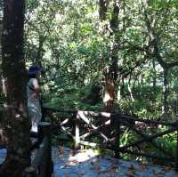Khao Sok National park 自然生態遊記