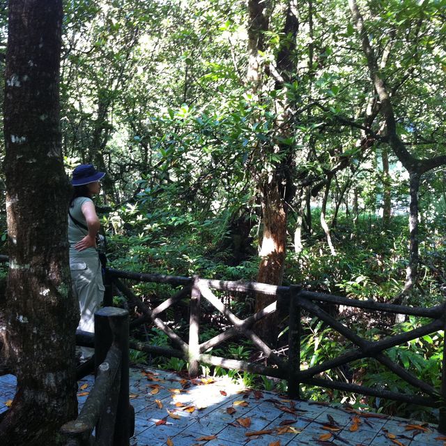 Khao Sok National park 自然生態遊記