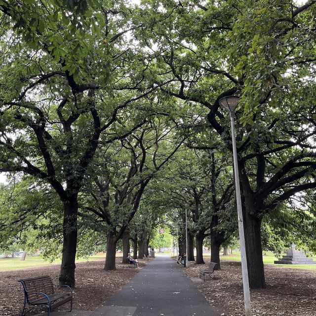 Beautiful Park in Melbourne 