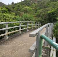 閒遊南丫島