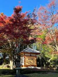 【東京都/小川寺】小平で美しい庭園が見られる寺院
