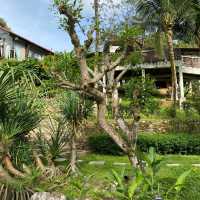 Beautiful resort in the nature, Fifty4Fern