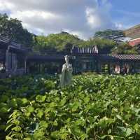 🌸🏯 感受皇家魅力～圓明新園🌼🌳