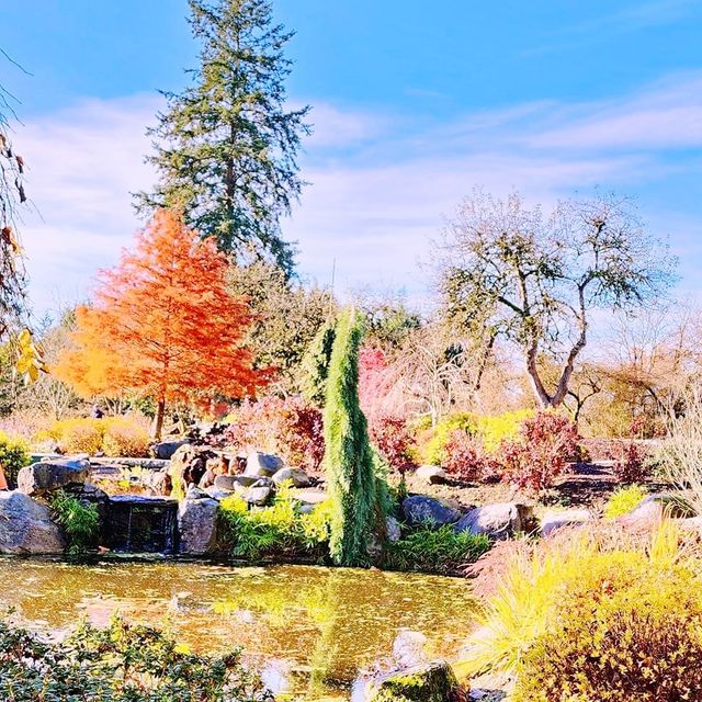 Colorful autumn at Deer Lake Park 