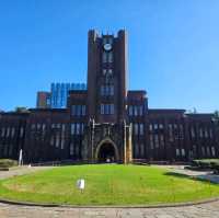 賞銀杏好去處@東京大學