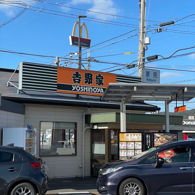 Savoring Joy at Yoshinoya's Haven