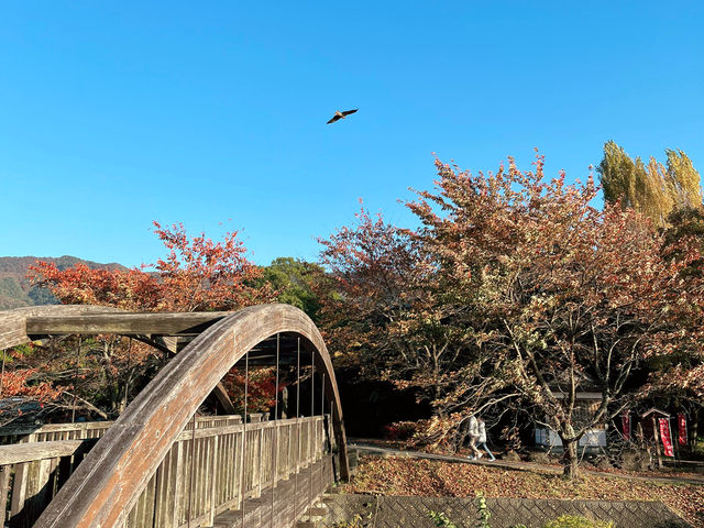 Sweet Escape to Mt. Fuji Recommendation 🍁🗻