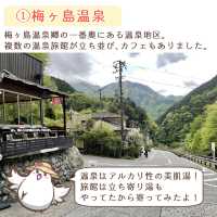 【静岡】梅ヶ島温泉郷　立ち寄りスポット5選