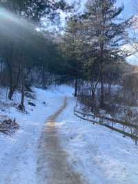 춘천 눈꽃여행 명소