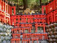 【京都市】無数の鳥居をくぐり山頂へ⛩