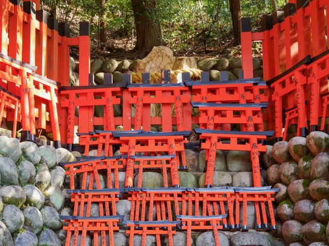 【京都市】無数の鳥居をくぐり山頂へ⛩