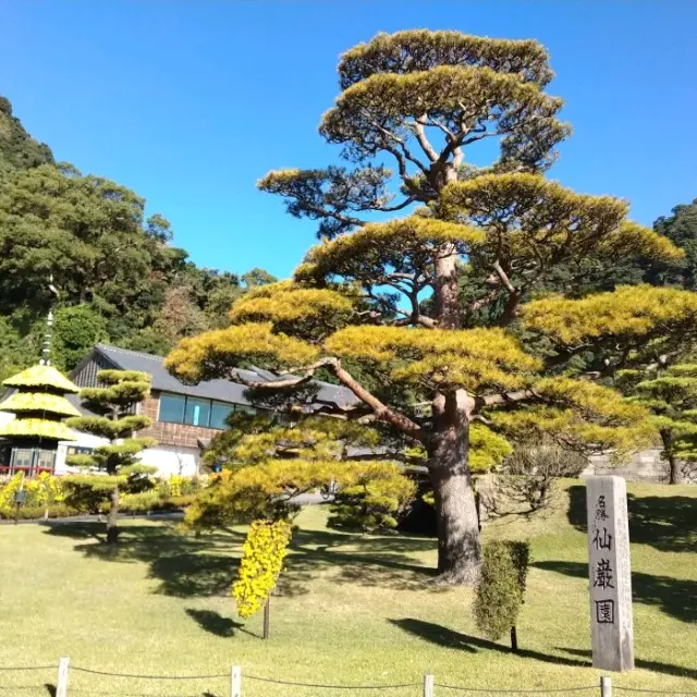 【世界遺産】仙巌園