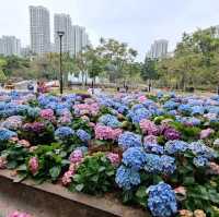 春暖花開~百花齊放~花團錦簇~爭相競艷