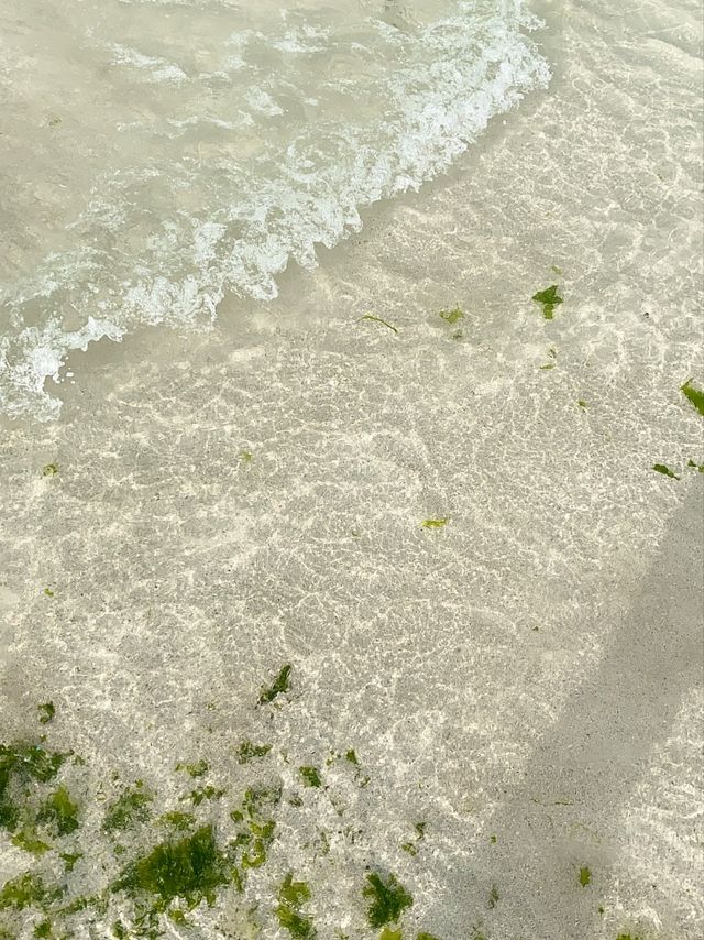제주도 서쪽~! 아름다운 ‘협재해수욕장’ 을 소개합니다~!!🌊