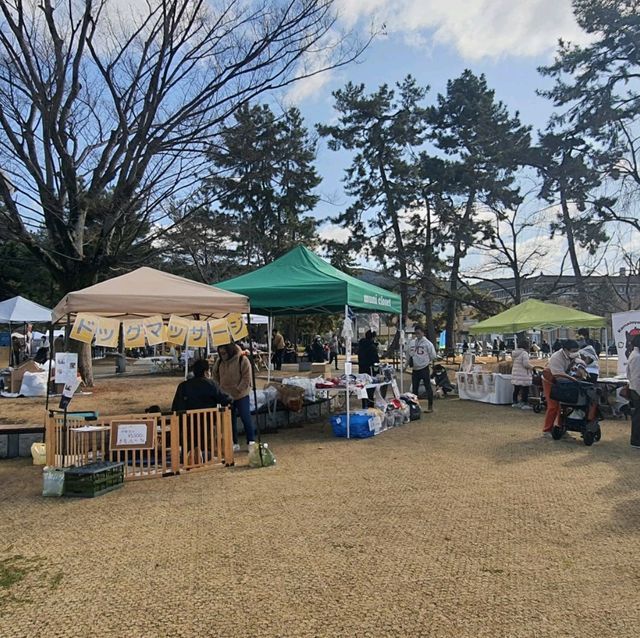 一月一回的京都岡崎公園手作市集