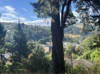 Dunedin Botanic Garden 但尼丁市區植物園，野餐散步好地方