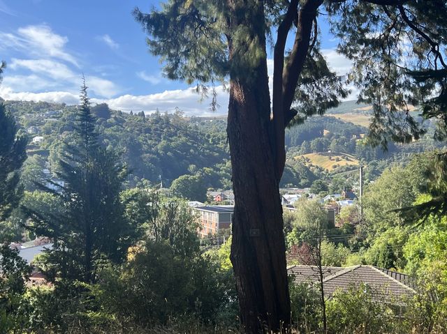 Dunedin Botanic Garden 但尼丁市區植物園，野餐散步好地方