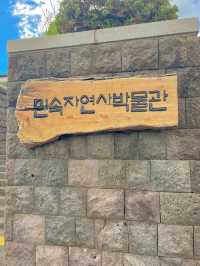 제주의 역사를 볼 수 있는 제주공항 근처 실내 볼거리✨