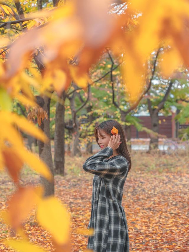 흐려도 아름다운 가을경주 황룡원🍁